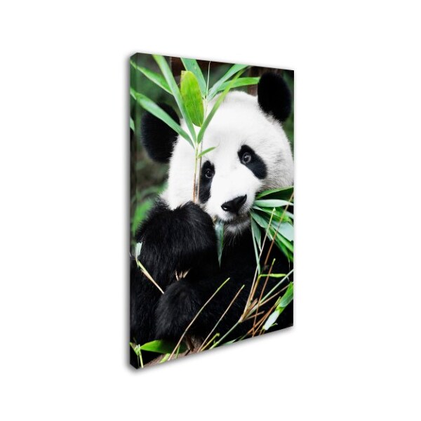 Pandaページ Trademark Fine Art Philippe Hugonnard 'Giant Panda I' Canvas Art